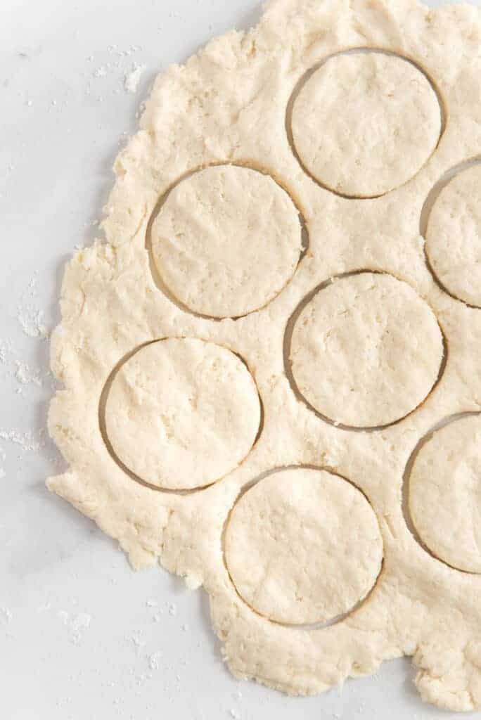 circles cut out of dough that will eventually be biscuits