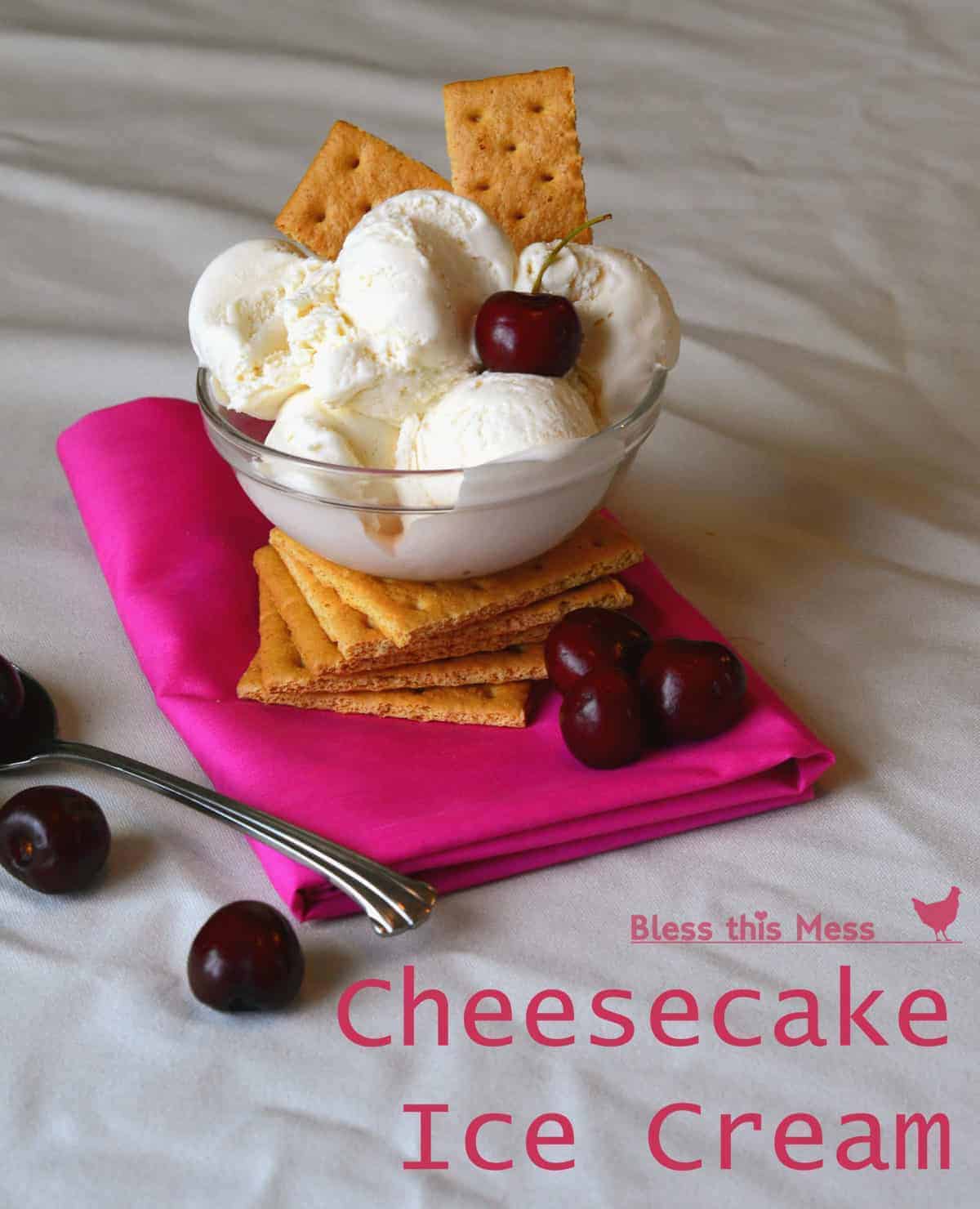 test of "cheesecake ice cream" with ghramcrackers in it