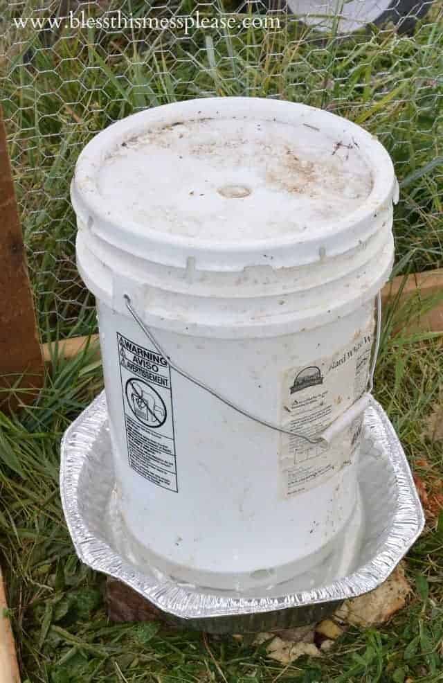 chicken water from 5 gallon bucket.