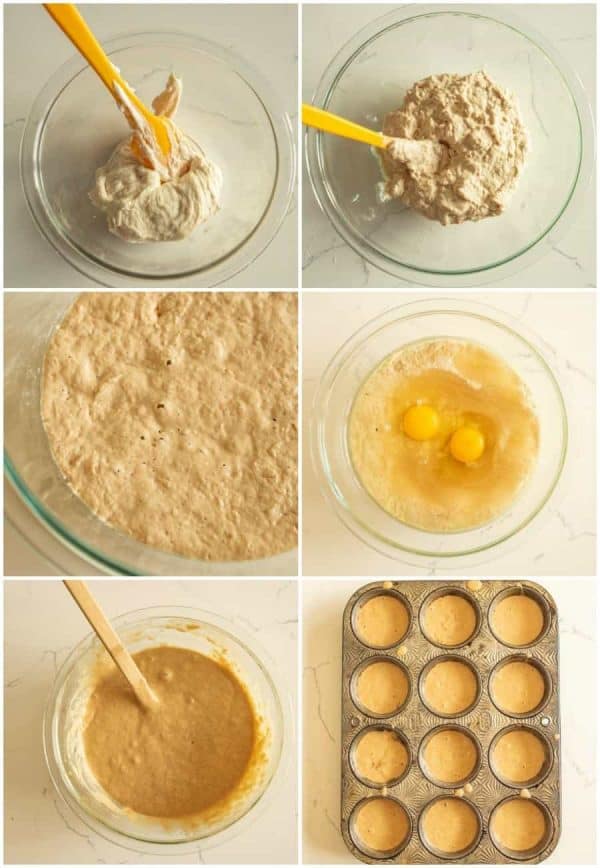 Overnight Sourdough Muffins — Basic Recipe