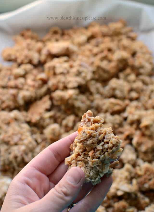 Homemade Healthy Chunky Granola – ladolcelisa