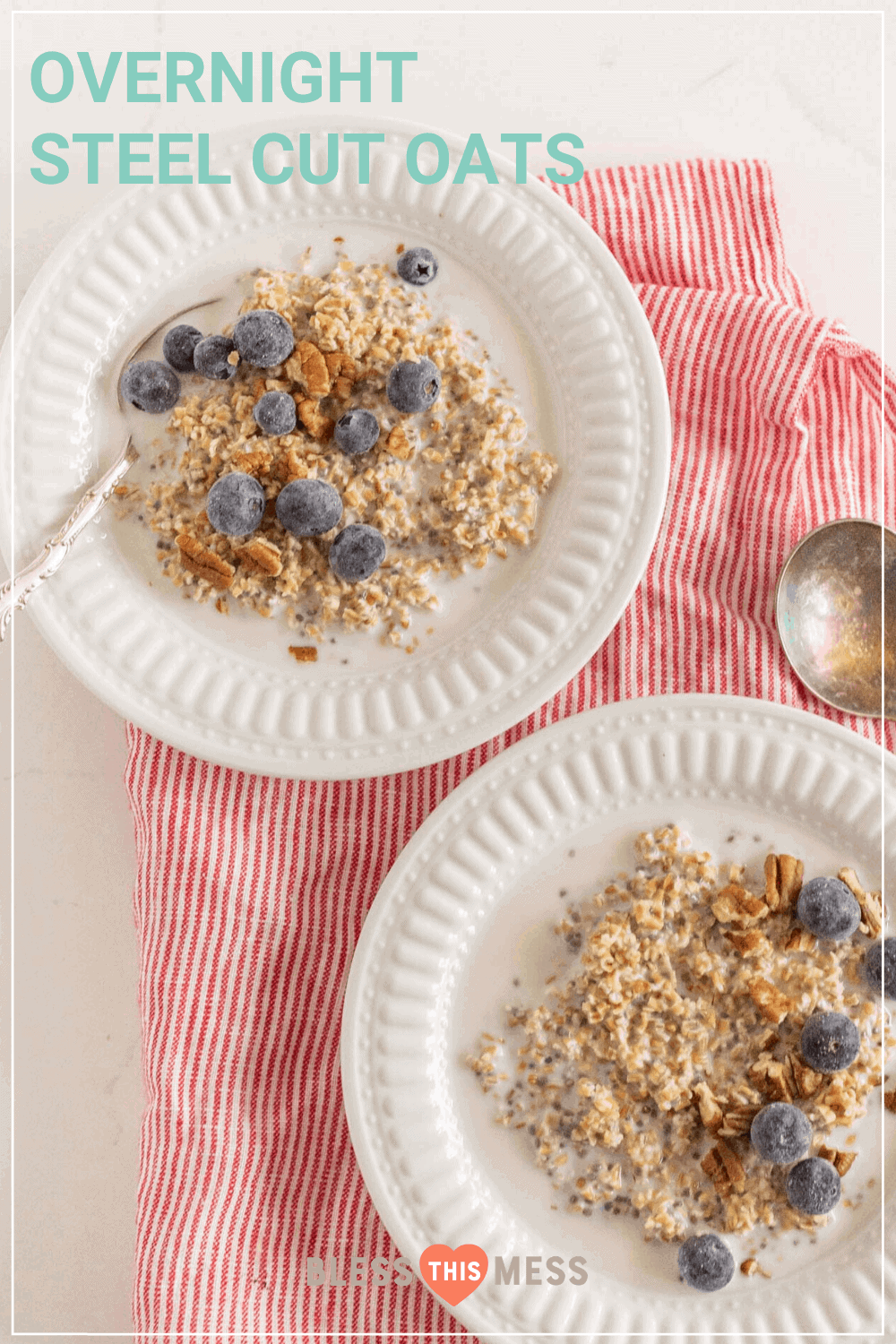 https://www.blessthismessplease.com/wp-content/uploads/2014/09/OVERNIGHT-STEEL-CUT-OATS-Bless-This-Mess.png