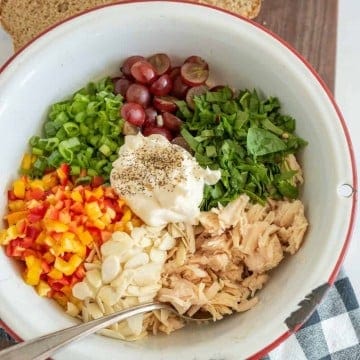 https://www.blessthismessplease.com/wp-content/uploads/2015/04/chicken-salad-recipe-2-360x360.jpg
