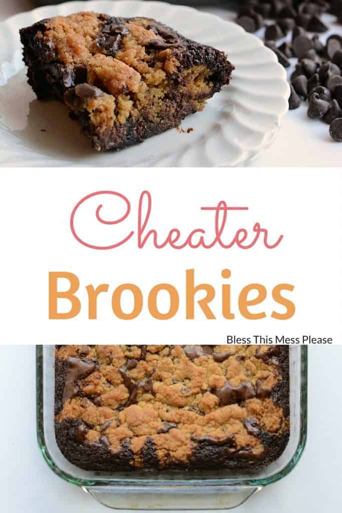 Cheater Brookies Pin.