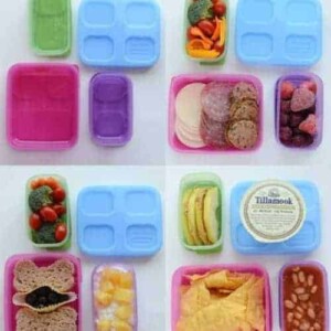 Images of four nutritious packed lunches in containers