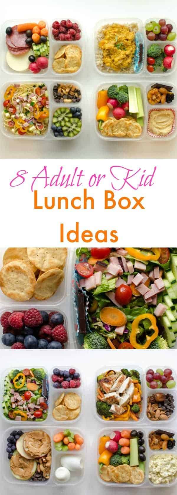 8 Adult  Lunch  Box Ideas  Healthy Meal Prep Recipes for 