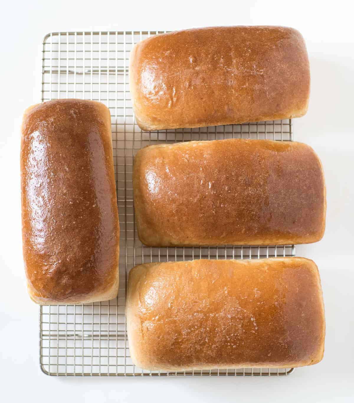 https://www.blessthismessplease.com/wp-content/uploads/2018/02/Moms-Four-Loaf-Wheat-Bread-Recipe-2.jpg