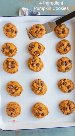 Cake Mix Pumpkin Chocolate Chip Cookies Recipe | Easy Cookie Recipe!