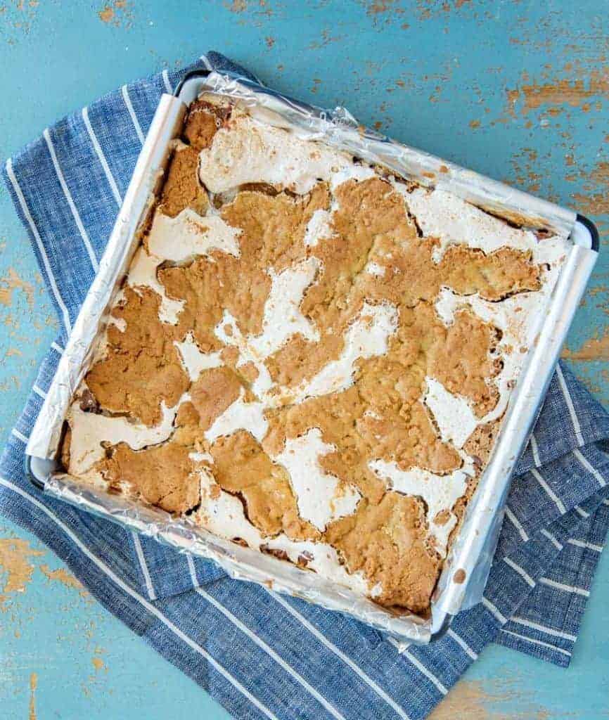 life changing peanut butter S'mores Bars.