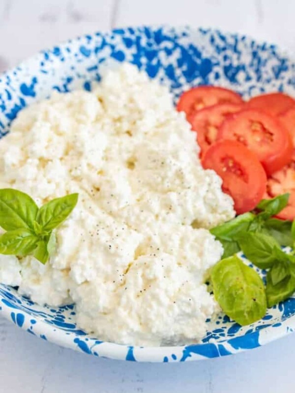 fresh cottage cheese on a blue speckled plate with fresh basil and sliced tomatoes