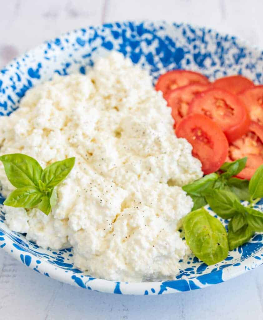 fresh cottage cheese on a blue speckled plate with fresh basil and sliced tomatoes