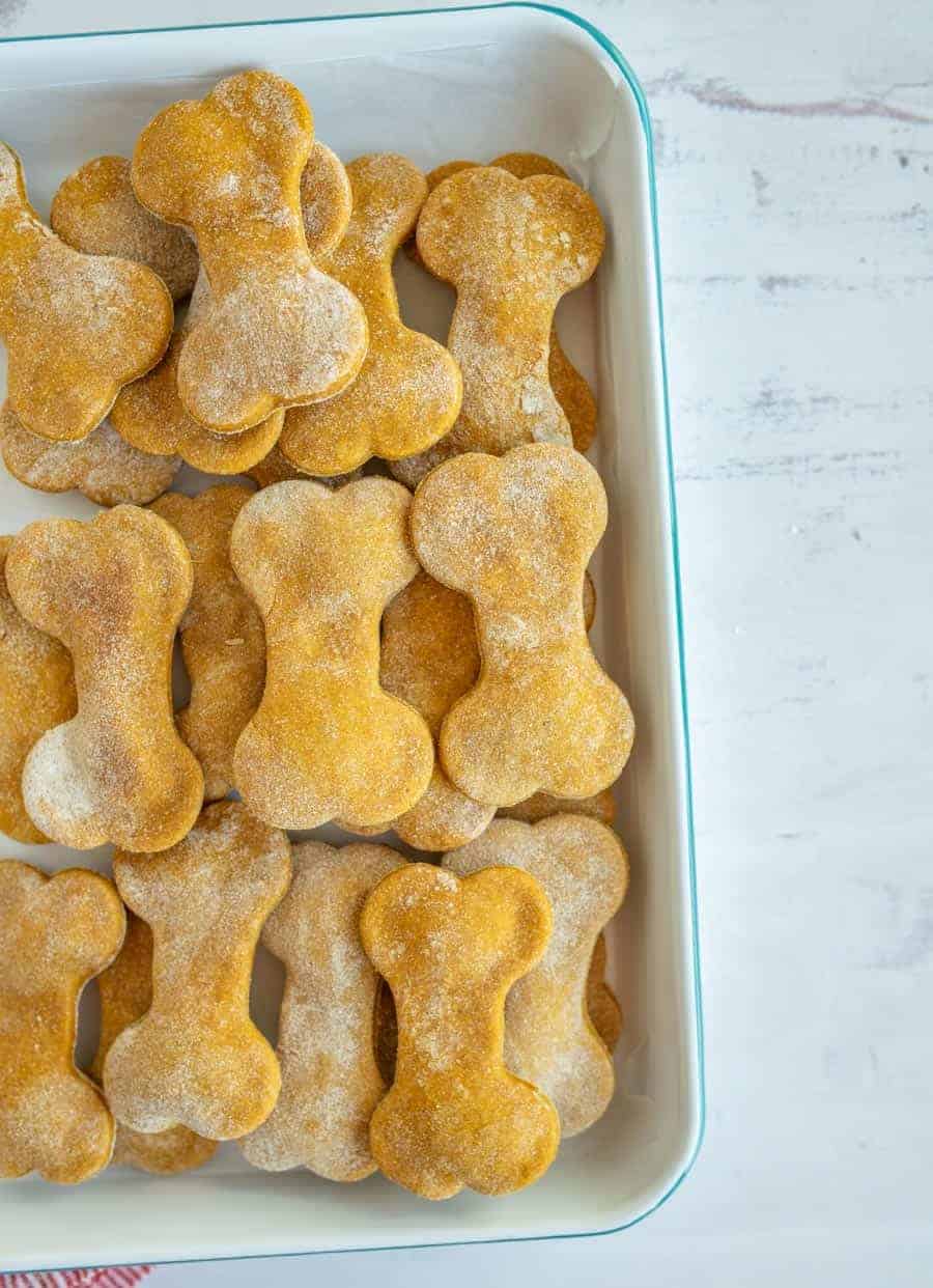 Easy Pumpkin Dog Treat Recipe — Bless this Mess