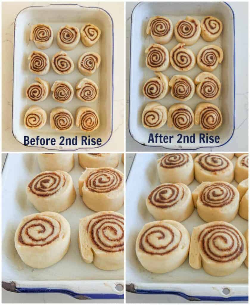 Homemade Cinnamon Rolls | Easy Recipe For Cinnamon Rolls