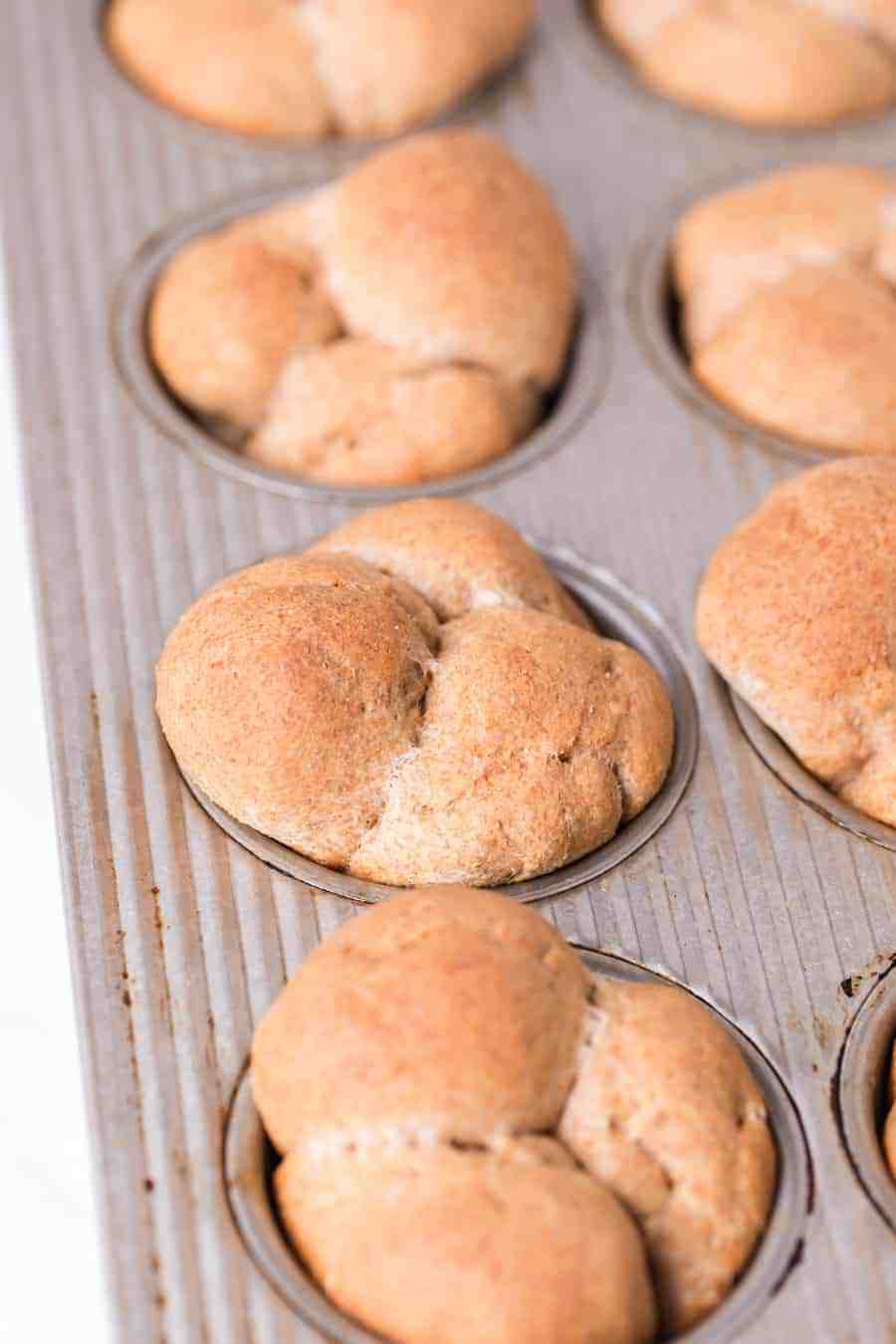 fresh baked whole wheat clover rolls in a muffin tin - close up.