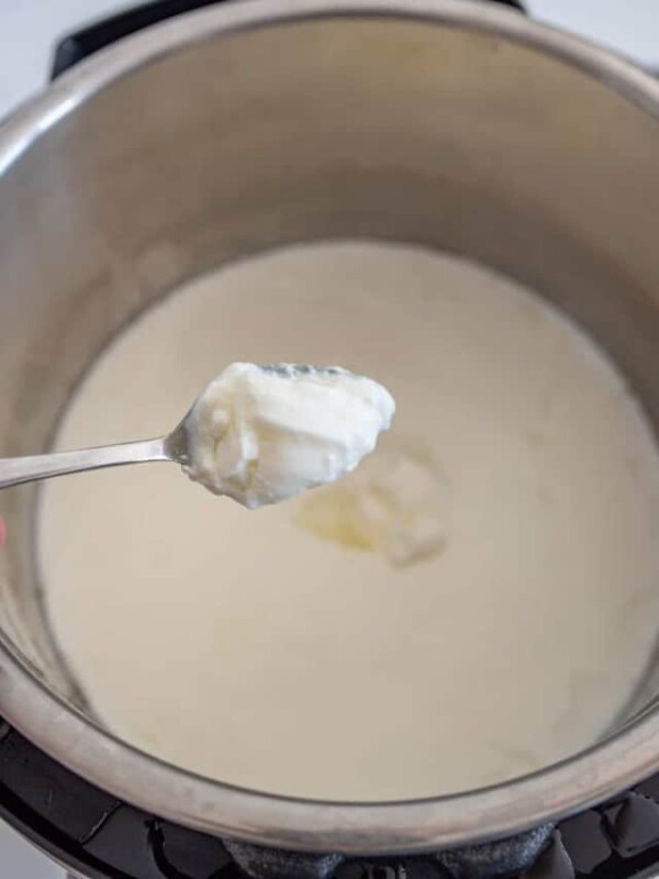 spoonful of instant pot yogurt