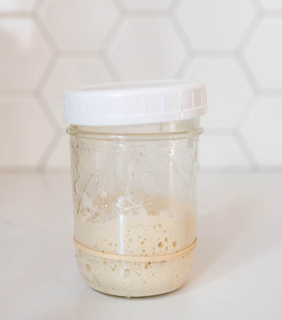 How to Feed a Sourdough Starter - Dirt and Dough