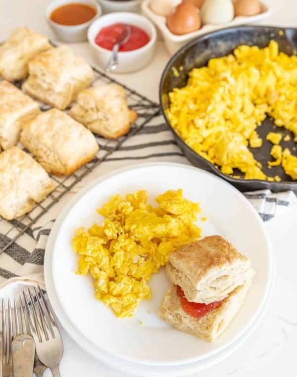 Easy Sourdough Biscuits Recipe - Tender Homemade Biscuits!