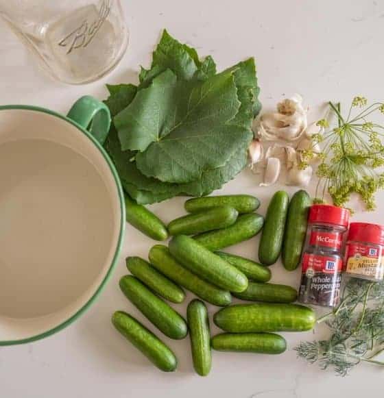 Grandma-Approved Easy Fermented Pickles Recipe — Bless this Mess