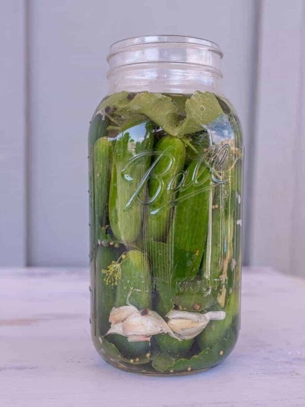 pickles packed in brine in clear glass jar for an easy fermented pickles recipe.