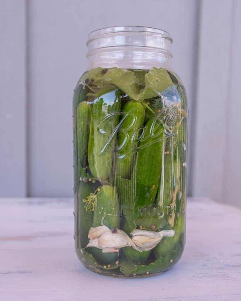 pickles packed in brine in clear glass jar