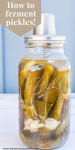 Easy Fermented Pickles