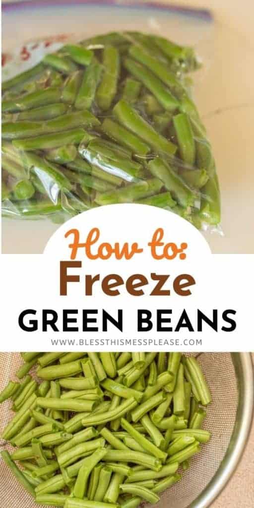 How to Freeze Green Beans and How to Use Them