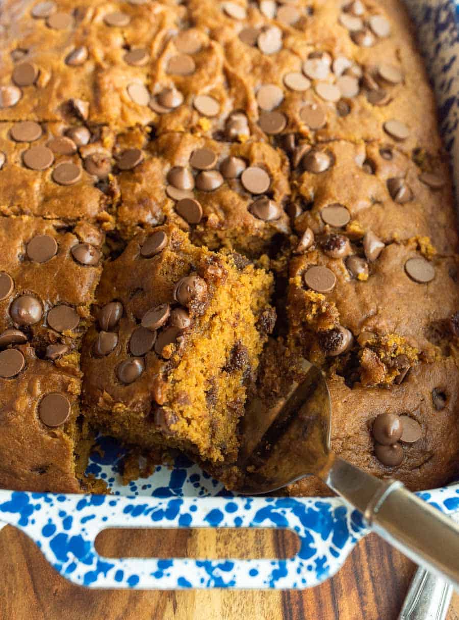 Baked chocolate chip pumpkin cake cut into pieces in a blue pan.