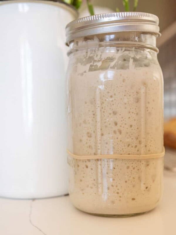 sourdough starter in a mason jar bubbly and perfect