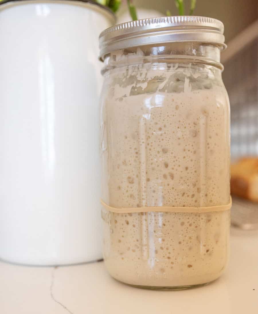 sourdough starter in a mason jar bubbly and perfect