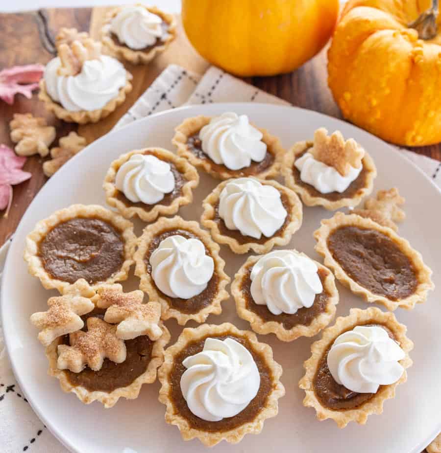 mini pumpkin pie with whipped cream swirl on top