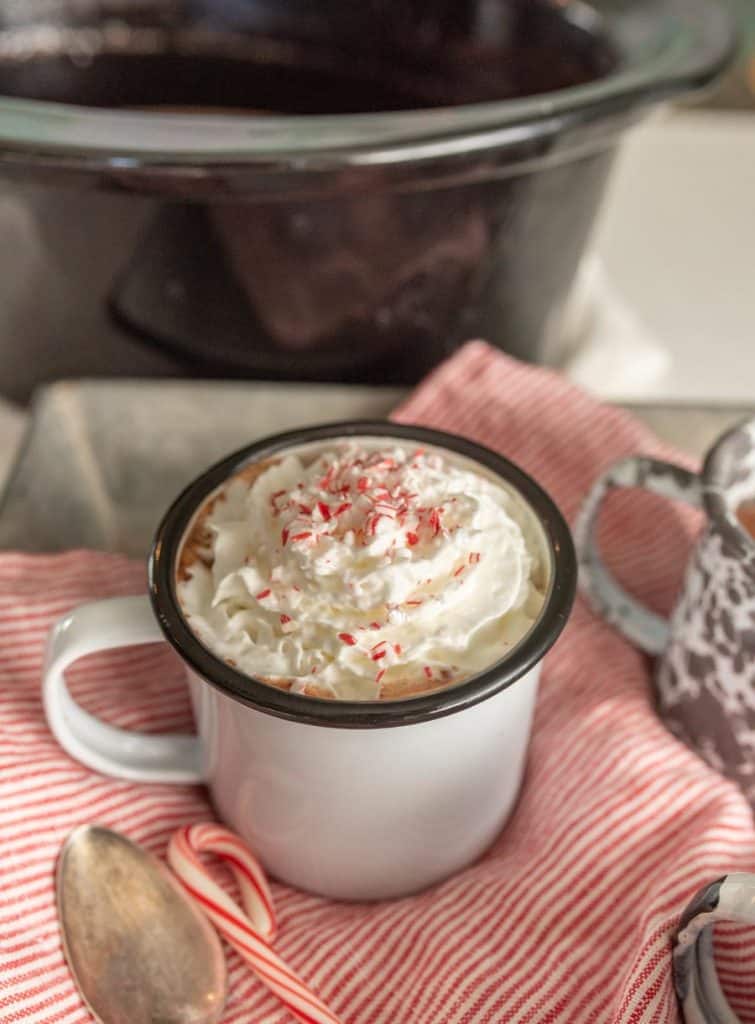 Crock Pot Hot Cocoa — Bless this Mess