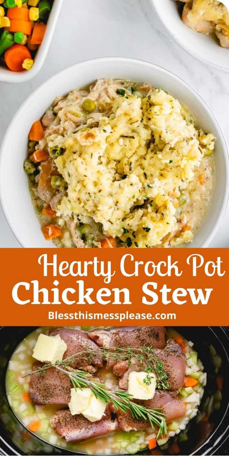 Chicken Stew with Dumplings in the Crock Pot — Bless this Mess