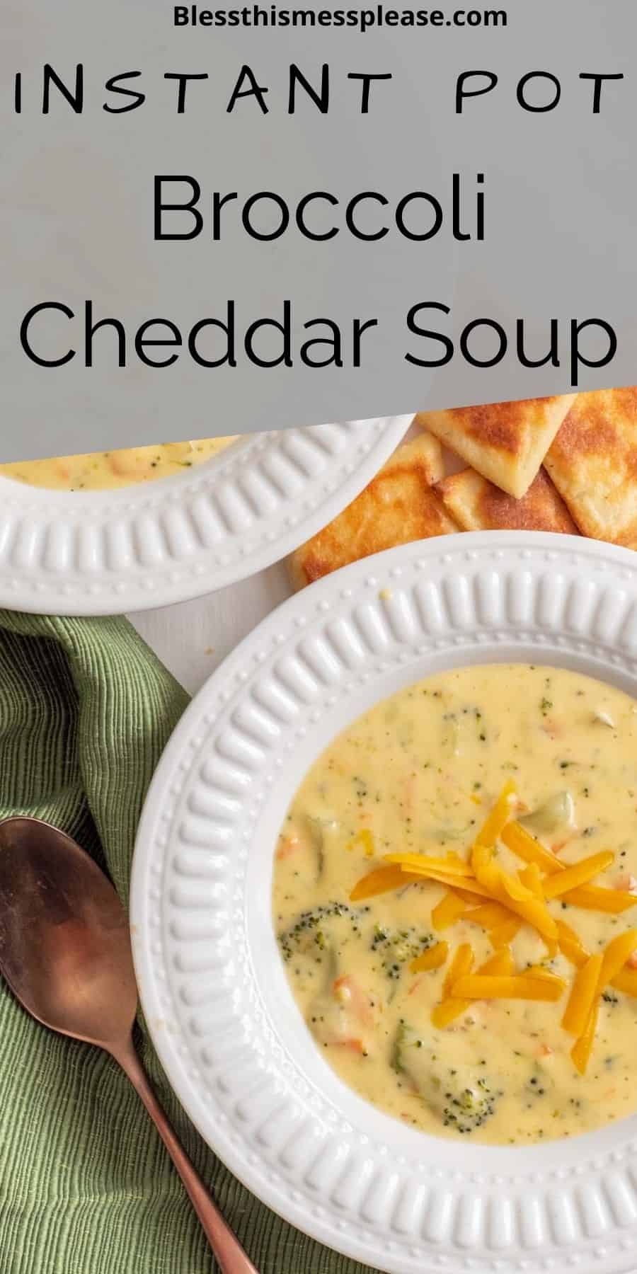 The Best Instant Pot Broccoli and Cheese Soup | Easy Soup Recipe