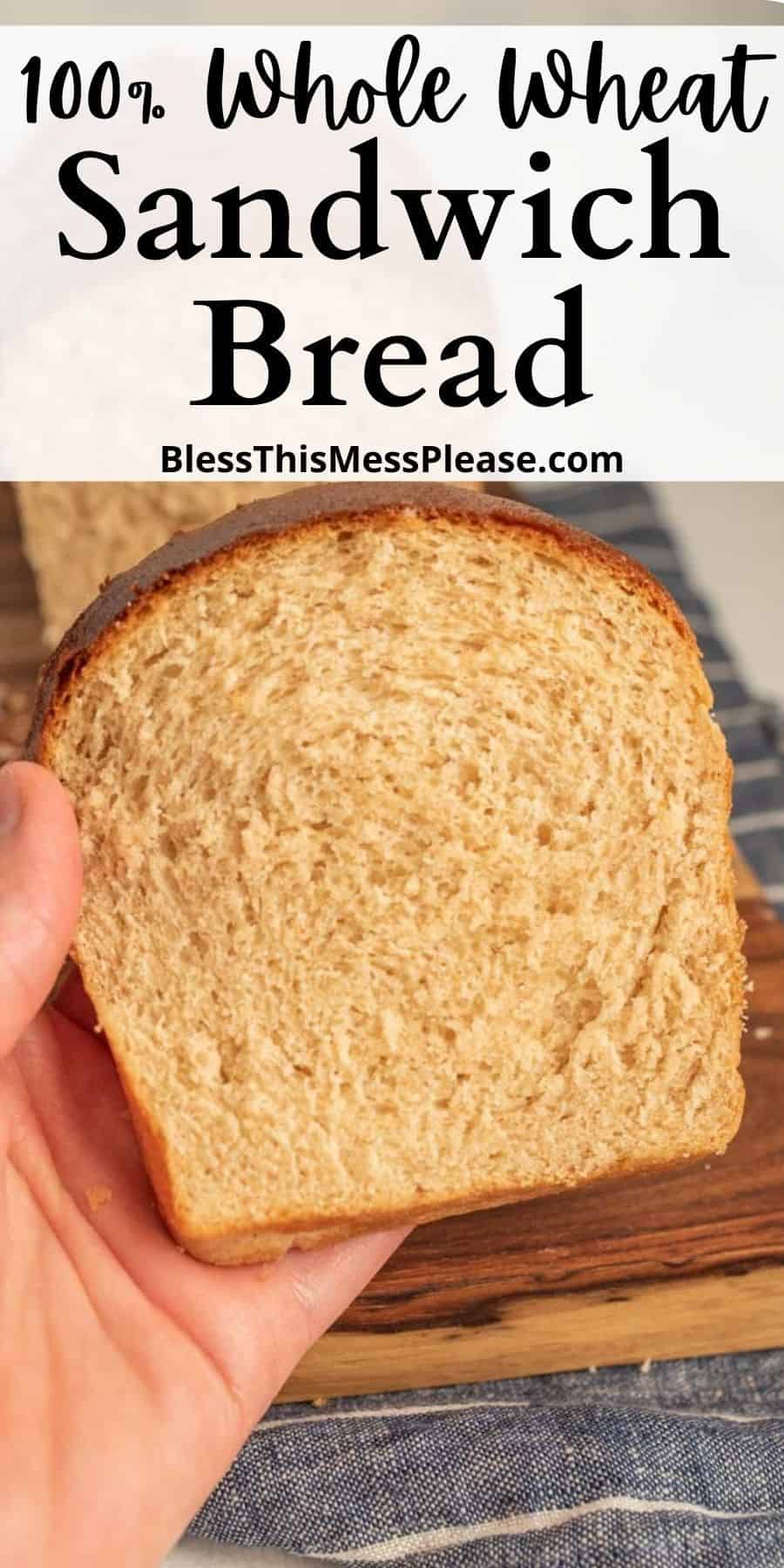 100% Whole Wheat Bread Recipe — Bless This Mess