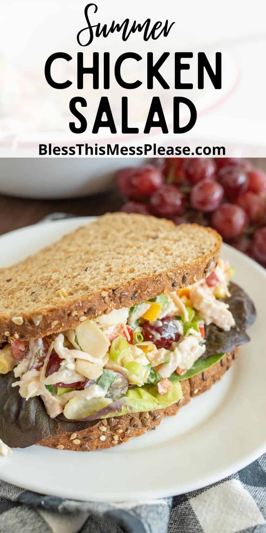 Quick and Easy Chicken Salad — Bless this Mess