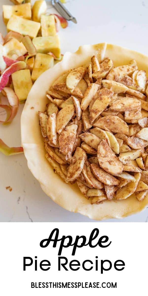 Easy Apple Pie Recipe Using Fresh Apples - With Video! — Bless this Mess