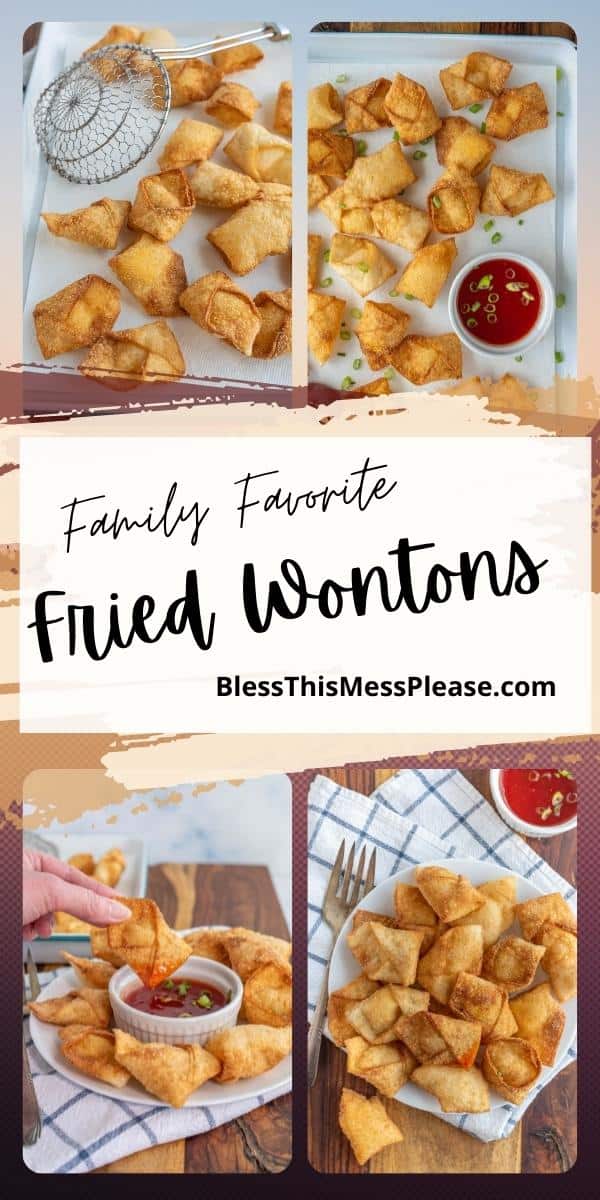 fried-wonton-recipe-bless-this-mess