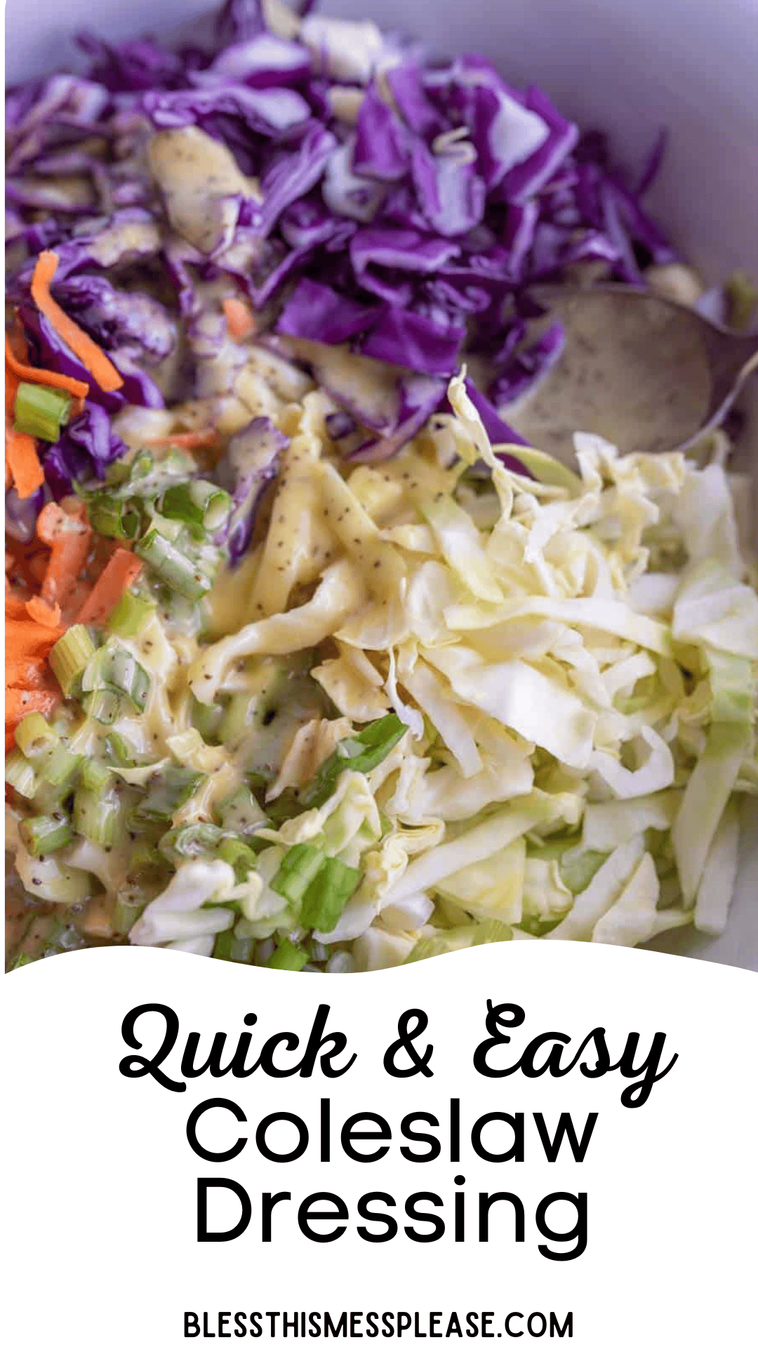 A close-up of a bowl with shredded red and green cabbage, sliced carrots, and green onions topped with a creamy dressing. The text Quick & Easy Coleslaw Dressing Recipe is at the bottom, along with blessthismessplease.com.