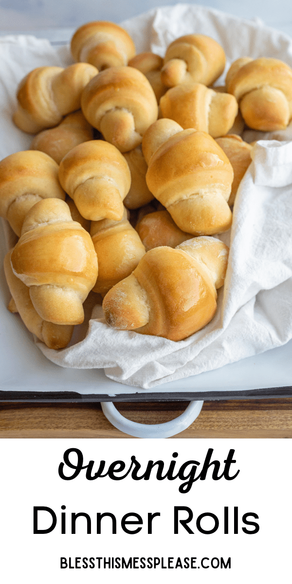 Overnight Dinner Rolls — Bless this Mess