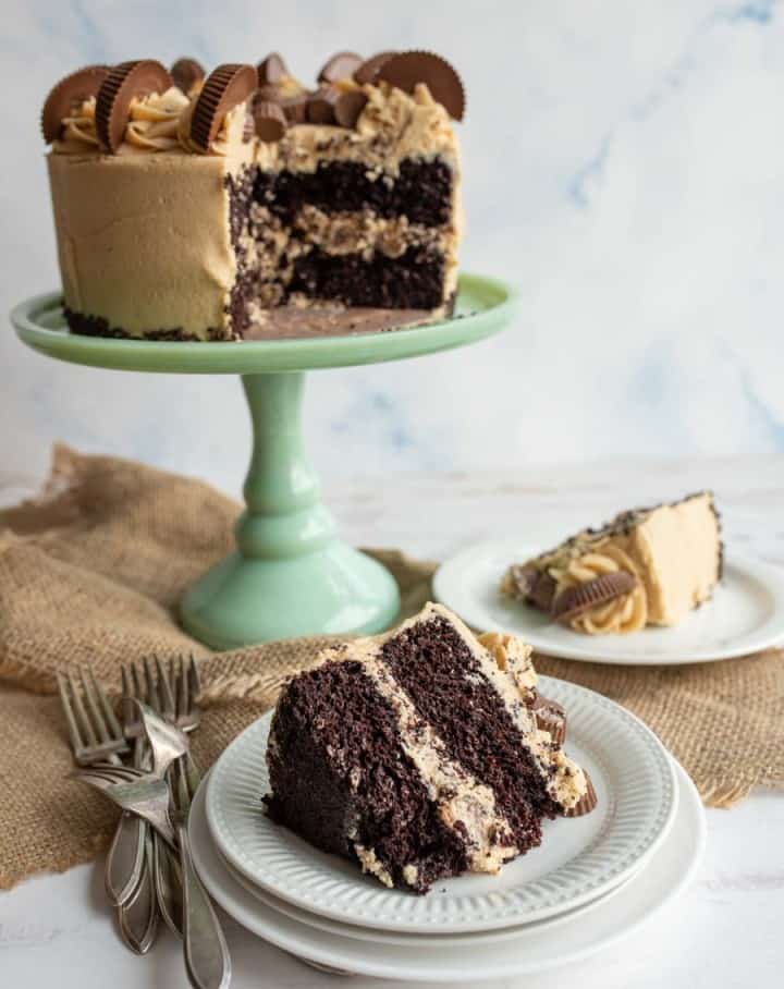 Chocolate Peanut Butter Cake — Bless this Mess