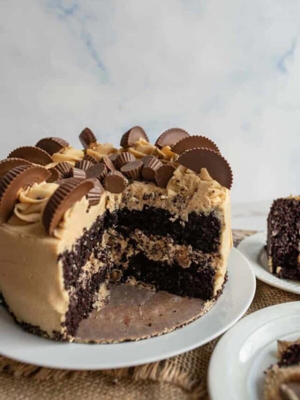 chocolate peanut butter cake with two tiers of cake in a tan peanut butter frosting