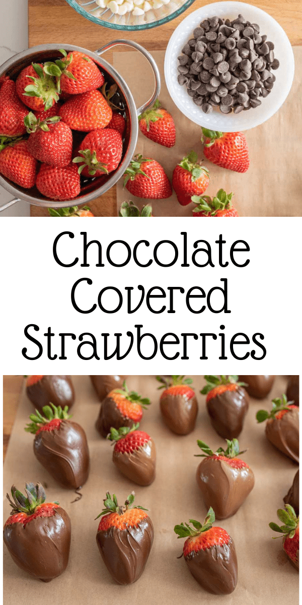 Chocolate Covered Strawberries — Bless this Mess