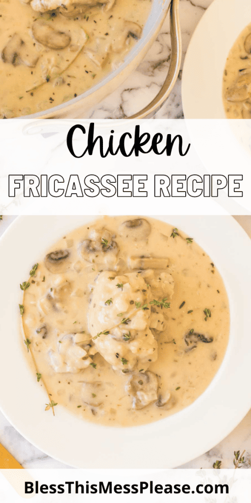 Chicken Fricassee — Bless this Mess