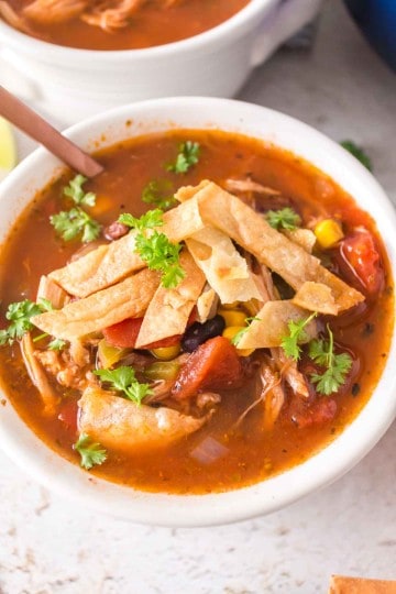 Chicken Tortilla Soup — Bless this Mess