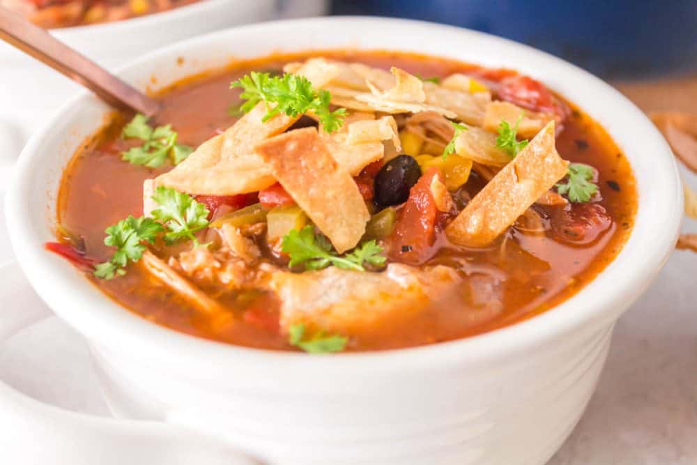 https://www.blessthismessplease.com/wp-content/uploads/2023/06/Chicken-Tortilla-Soup-Recipe-15.jpg