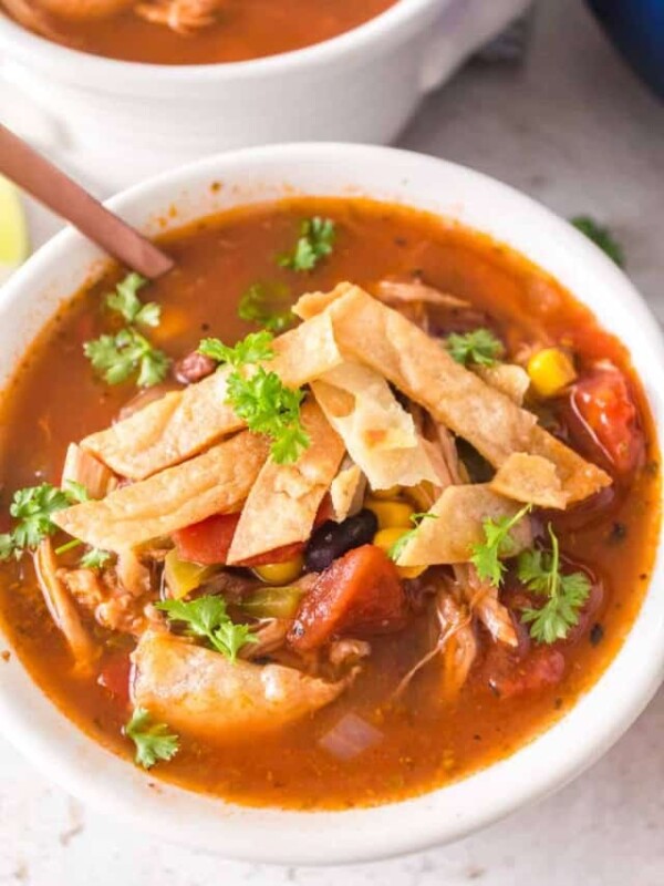 a white bowl with chicken tortilla soup and sliced chips and cheese on top