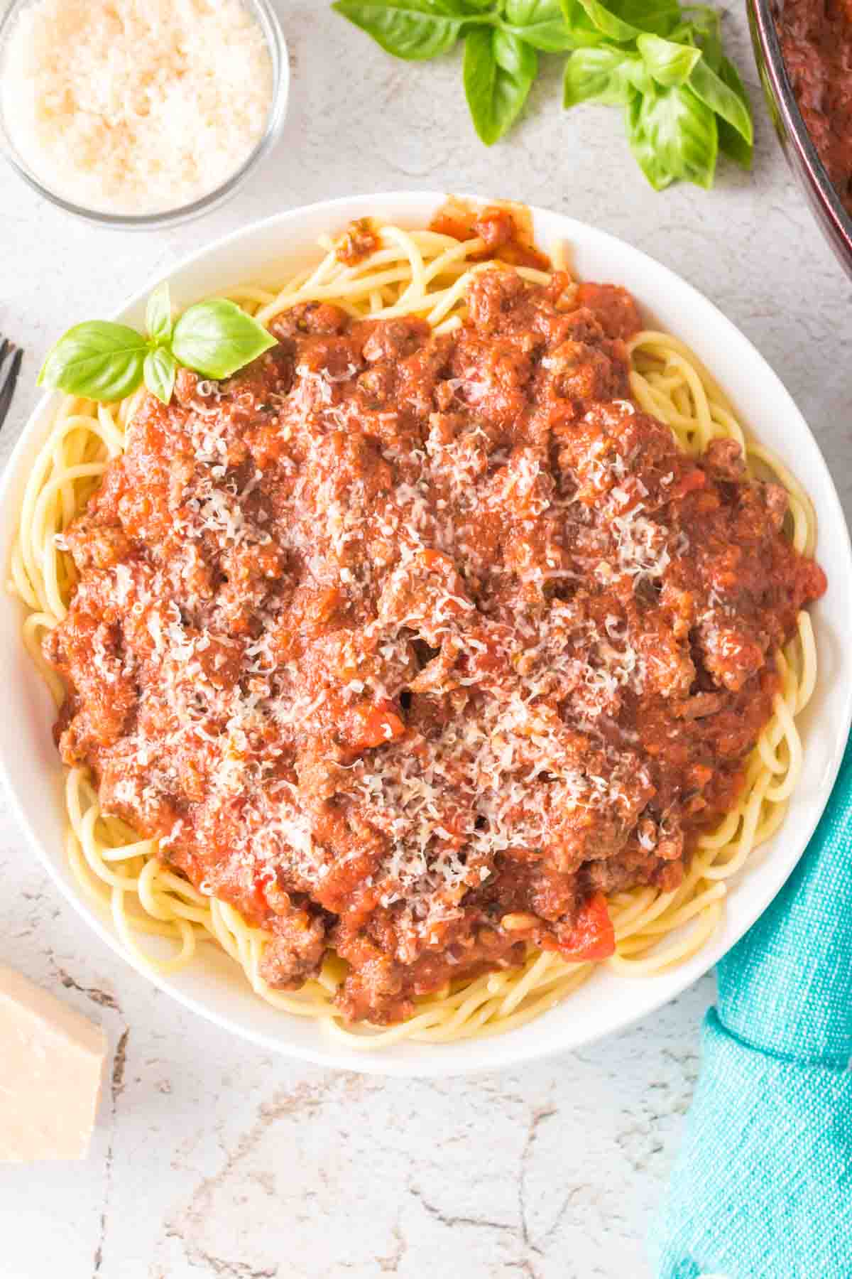 Homemade Copy Cat Spatini Dry Spaghetti Sauce Mix - The Homestead Survival