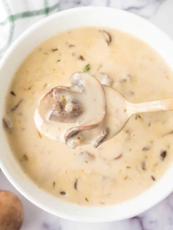 POV of a spoonful of cream of mushroom soup