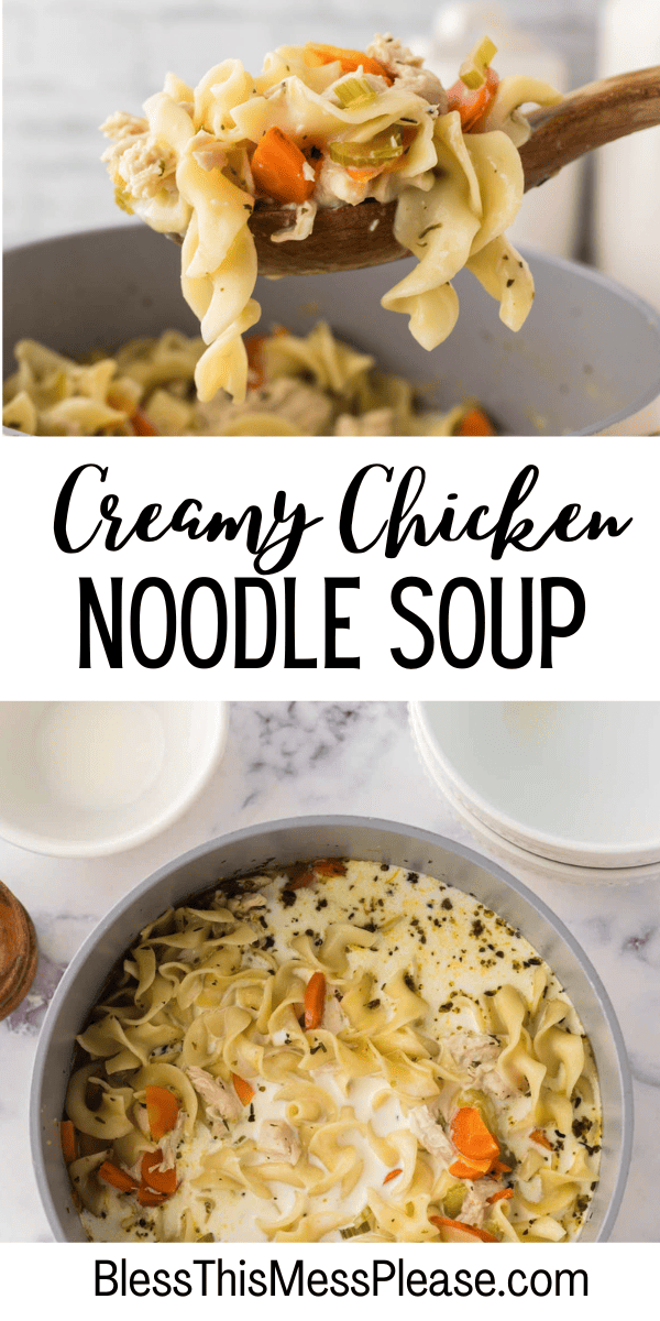 Creamy Chicken Noodle Soup — Bless this Mess