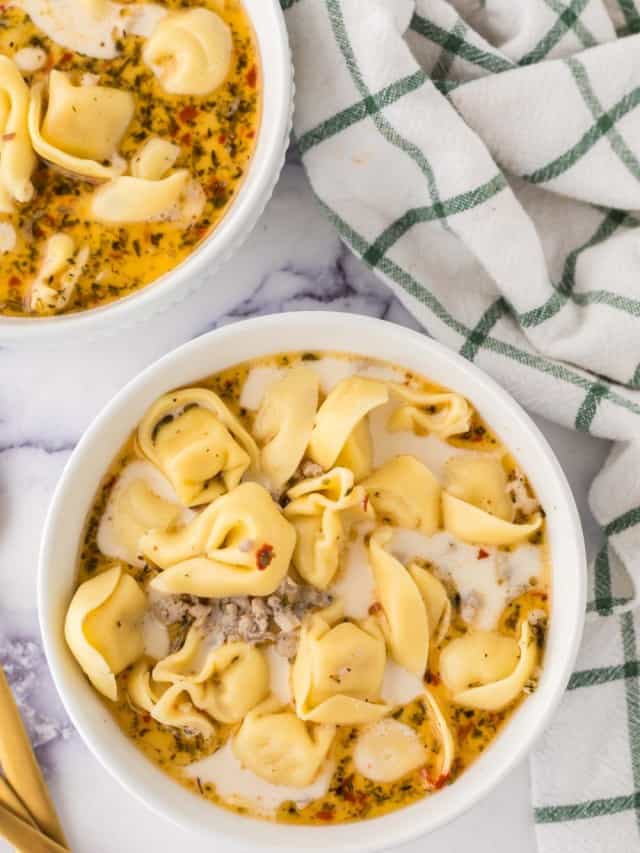 Slow Cooker Honey Garlic Pork Chops Recipe | Bless This Mess